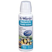 WATERLIFE -STAYCLEAR 100 ML